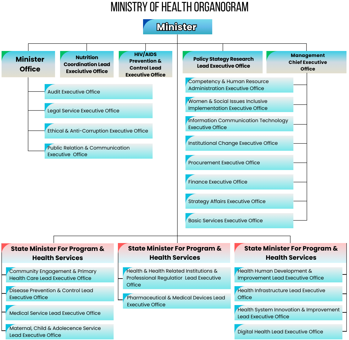 Organogram